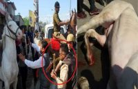 bjp-mla-ganesh-joshi-booked-for-attacking-police-horse-breaking-its-leg