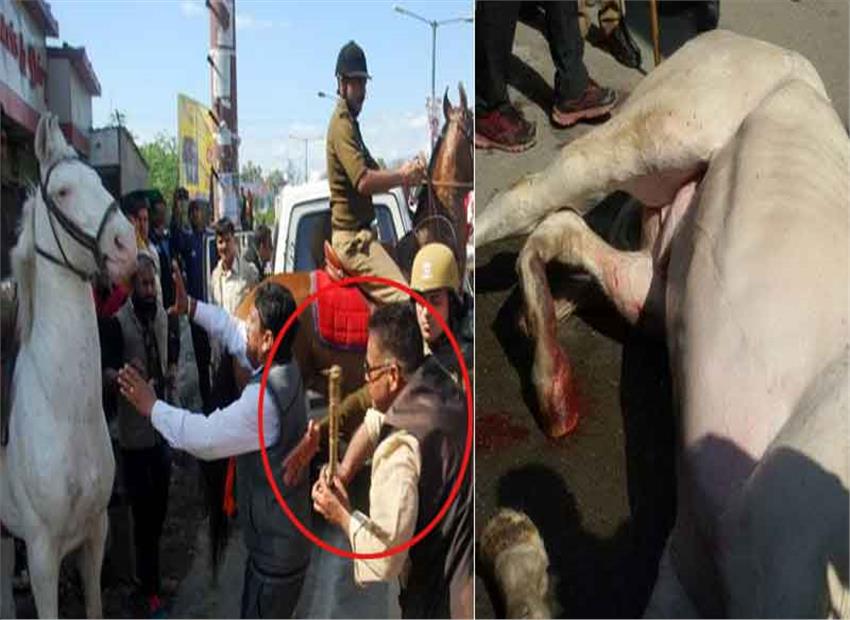 bjp-mla-ganesh-joshi-booked-for-attacking-police-horse-breaking-its-leg