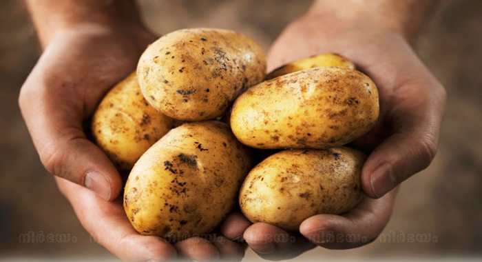 potatoes-heal-stomach-ulcers