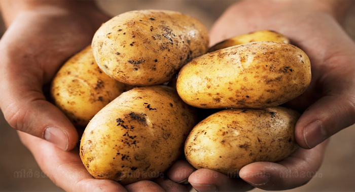 pre-pregnancy-potato-consumption-linked-to-gestational-diabetes