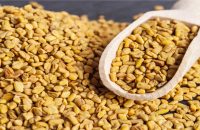 fenugreek-lowers-blood-sugar-and-cholesterol