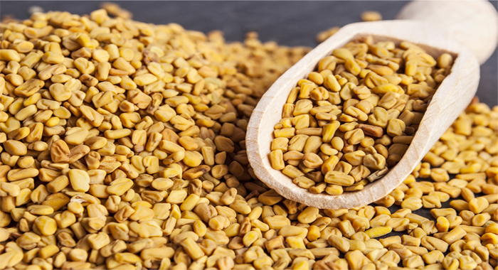 fenugreek-lowers-blood-sugar-and-cholesterol