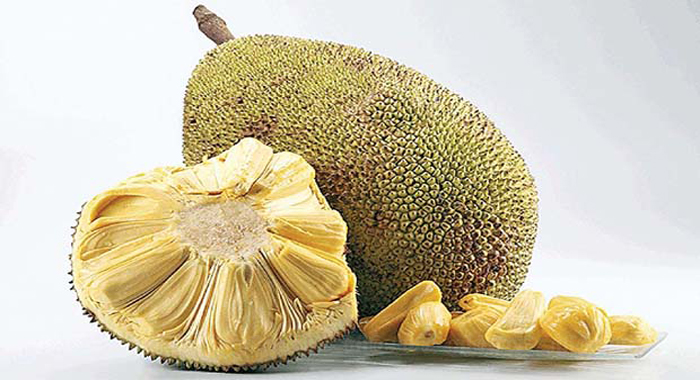 jackfruit-for-diabetes