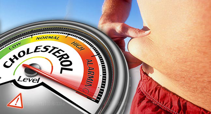 foods-that-lower-cholesterol-naturally
