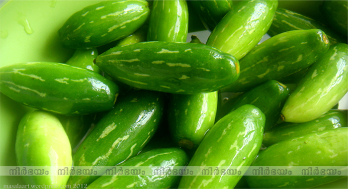 health-benefits-of-eating-tindora