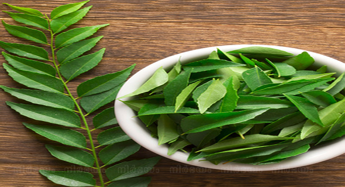 benefits-of-curry-leaves