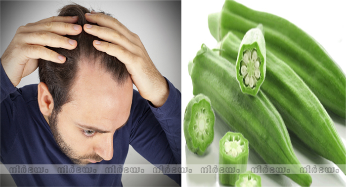 finger-or-okra-for-baldness