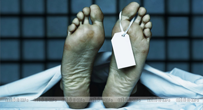 undead-genes-come-alive-days-after-life-ends