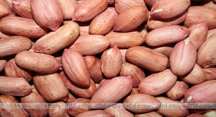 eat-10-grams-of-nuts-a-day-for-longer-life