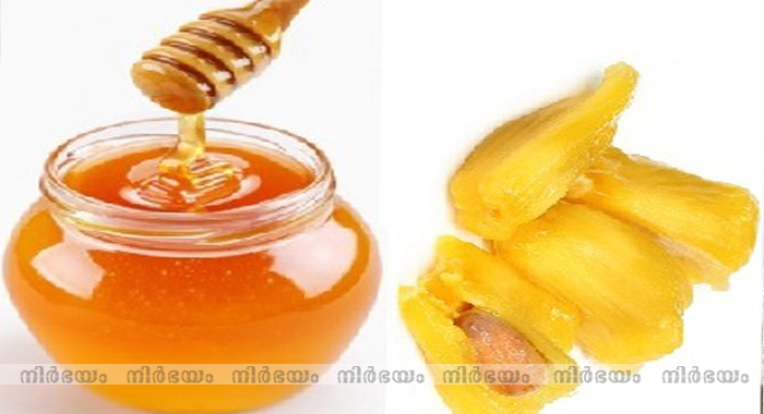 what-happens-to-your-body-when-you-eat-jackfruit-seeds-with-honey