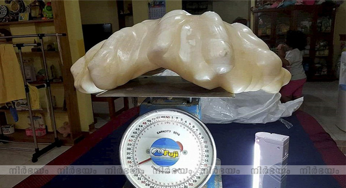 fisherman-hands-in-giant-pearl-he-kept-under-the-bed-for-10-years