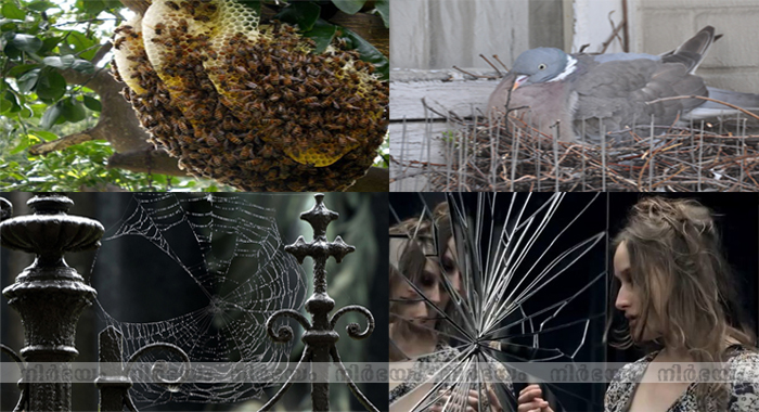 if-you-want-to-be-rich-remove-these-things-from-your-house-immediately