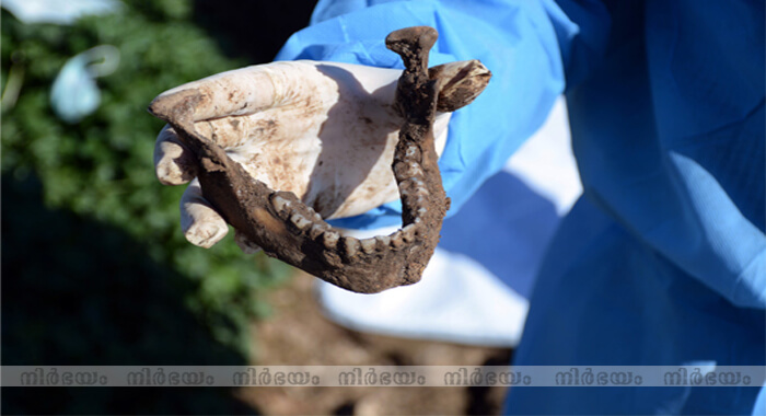 up-to-15000-bodies-may-be-buried-in-mass-graves-in-syria-and-iraq