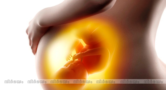 what-do-babies-do-in-the-womb