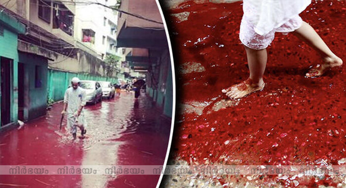 animal-sacrifices-turn-dhaka-streets-into-rivers-of-blood