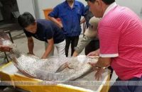 chinese-fisherman-wants-1-million-yuan-for-rare-fish