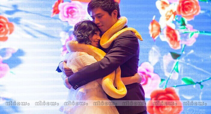 couple-gift-each-other-pythons-on-wedding-day