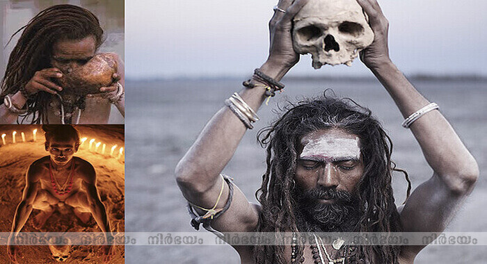 incredible-images-show-life-of-indias-cannibal-aghori-tribe