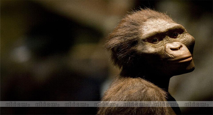 this-anthropologist-thinks-hes-solved-the-3-million-year-old-mystery-of-lucys-death