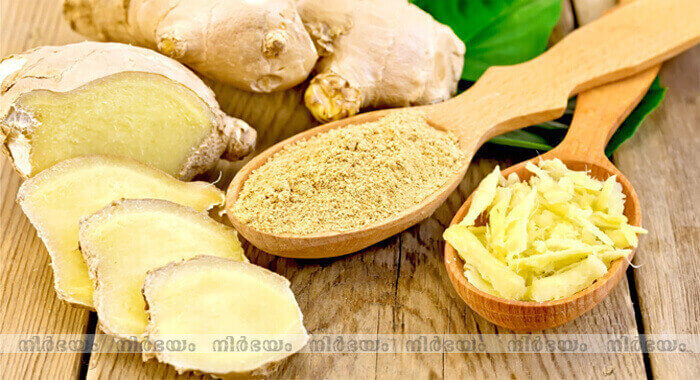 types-of-people-that-should-never-use-ginger