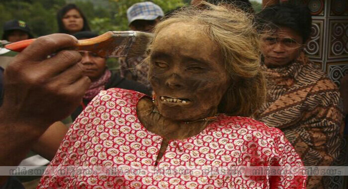 manene-festival-in-indonesia-sees-bodies-of-dead-relatives-dug-up-and-dressed