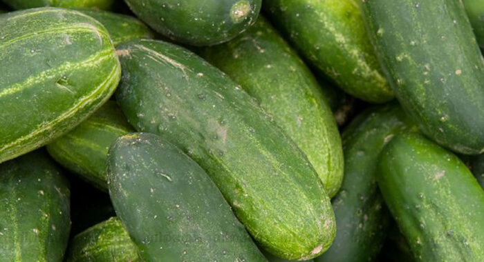amazing-health-benefits-of-cucumber