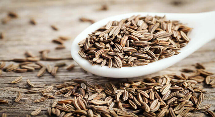 amazing-facts-about-cumin