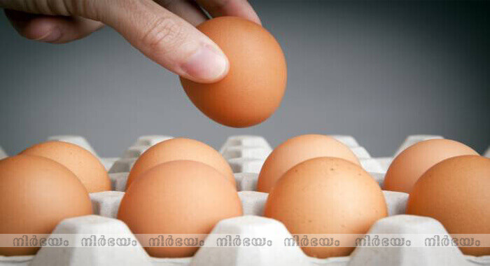 beware-of-chinese-fake-eggs