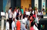 boby-chemmanur-catching-dogs