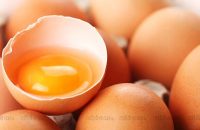 chinese-made-plastic-eggs-in-kerala-is-a-rumor
