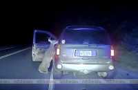 deer-attacks-driver-after-being-struck-by-car