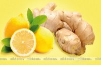 ginger-lemon-juice-melts-fat-off-your-waist