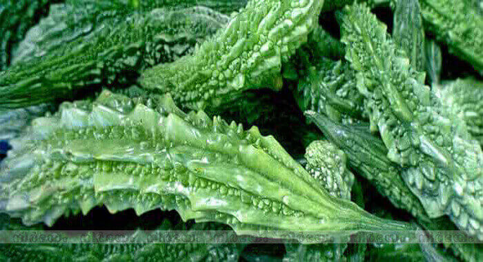 side-effects-of-bitter-gourd