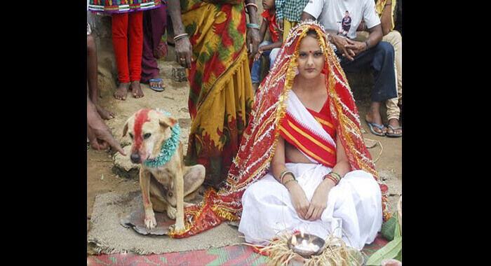 woman-marries-dog-in-jharkhand