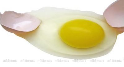 egg-white