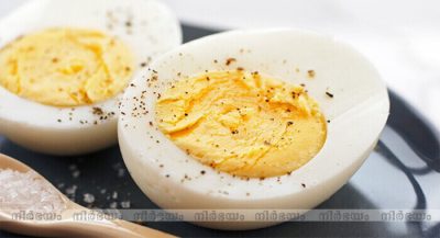 egg