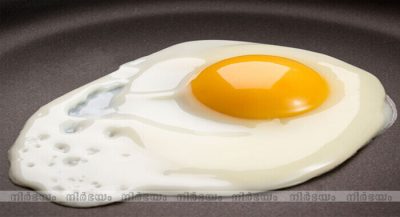 egg