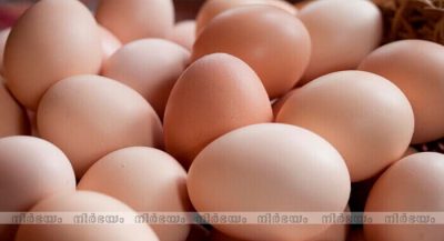 egg