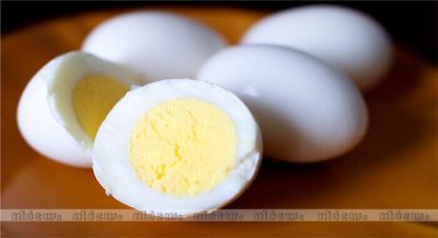 egg