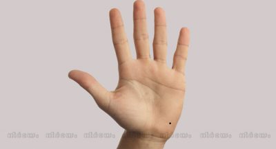 finger