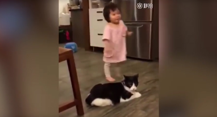 cat-trips-baby-girl-by-grabbing-her-leg-as-she-walks-past