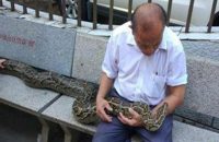 chinese-couple-raise-3-7-meter-long-python-as-their-child