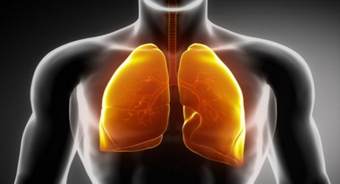 clean-your-lungs-back-to-life-in-only-three-days