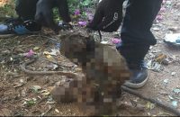 four-medical-students-of-cmc-were-suspended-for-brutally-torturing-and-killing-a-monkey