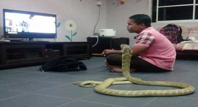 man-marries-snake-he-believes-is-his-dead-girlfriend-reincarnated