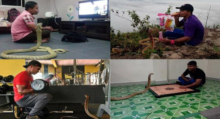 man-marries-snake-he-believes-is-his-dead-girlfriend-reincarnated