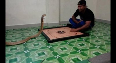 man-marries-snake-he-believes-is-his-dead-girlfriend-reincarnated0