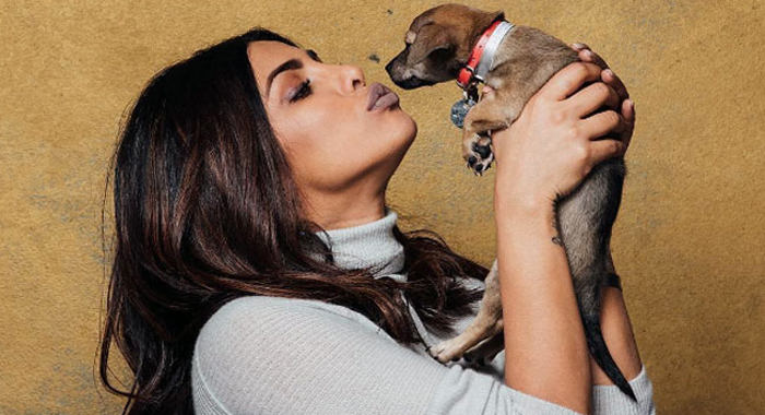 priyanka-chopras-instagramming-about-her-adorable-new-friend