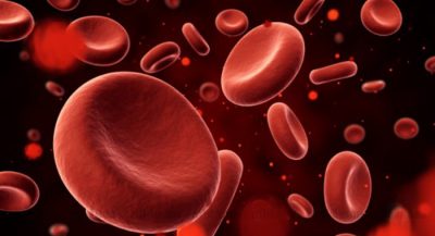 blood