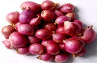 great-benefits-of-small-onions